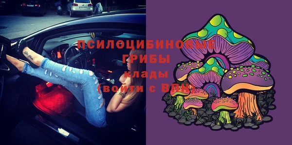 эйфоретик Алзамай