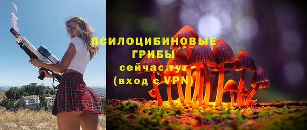 эйфоретик Алзамай