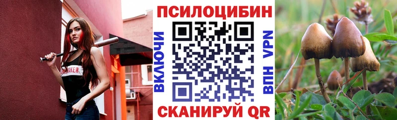 Галлюциногенные грибы Cubensis  кракен сайт  Микунь 